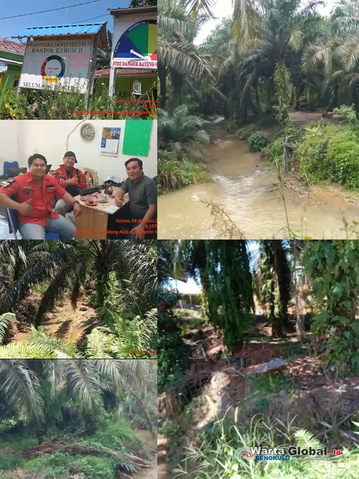 PT MUTIARA SAWIT SELUMA TOLAK BERIKAN HAK JAWAB SOAL PENANAMAN SAWIT DI SEMPADAN SUNGAI, HUMAS: "TUNGGU DARI BAGIAN LEGAL HUKUM"
Ketua PGM-TV: Kami Kawal & Ambil Langkah Hukum